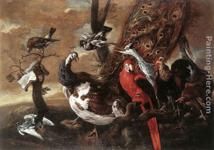 Jan Fyt Bird Concert